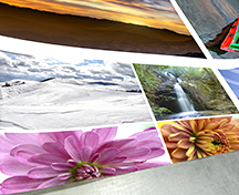 大型コピー／モノ・カラー